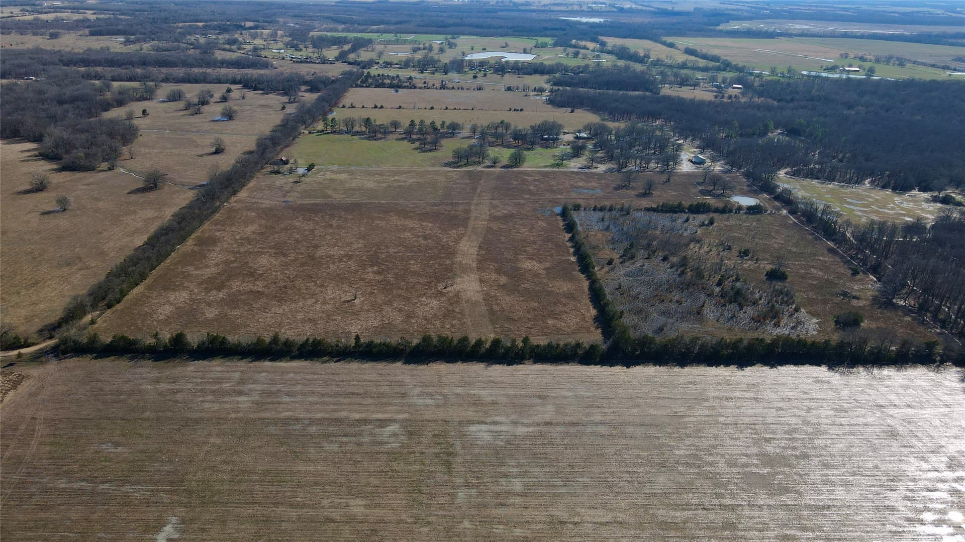 50 acres in Lamar County - photo 3
