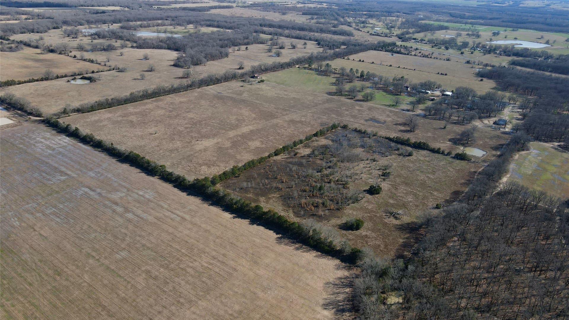 50 acres in Lamar County - photo 4