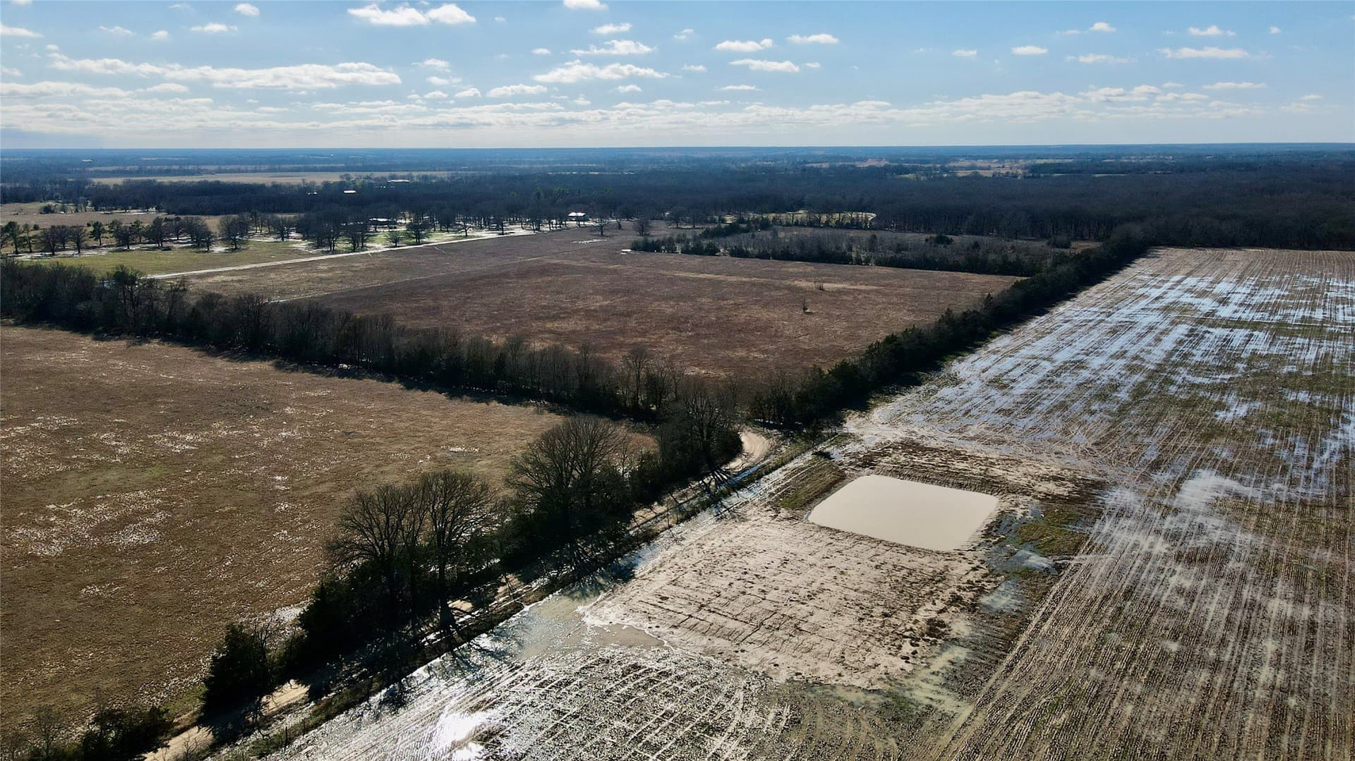 50 acres in Lamar County - photo 14