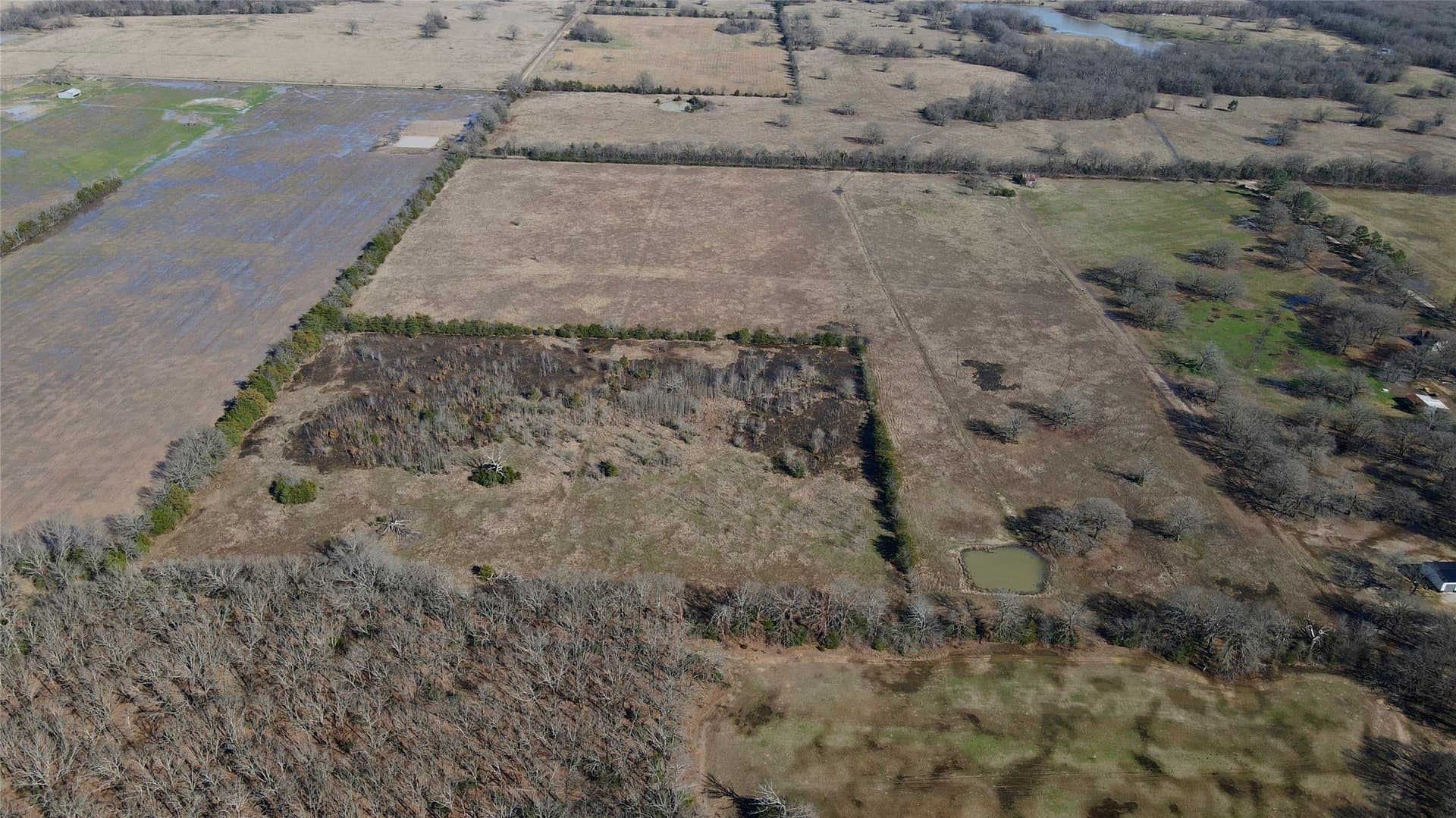 50 acres in Lamar County - photo 5
