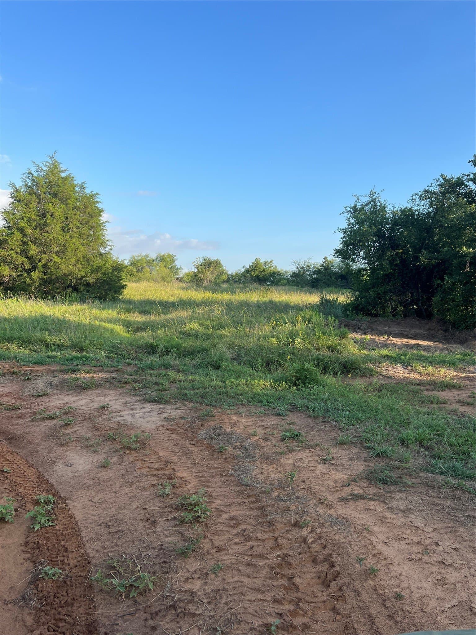 77 acres in Wise County gallery image 3