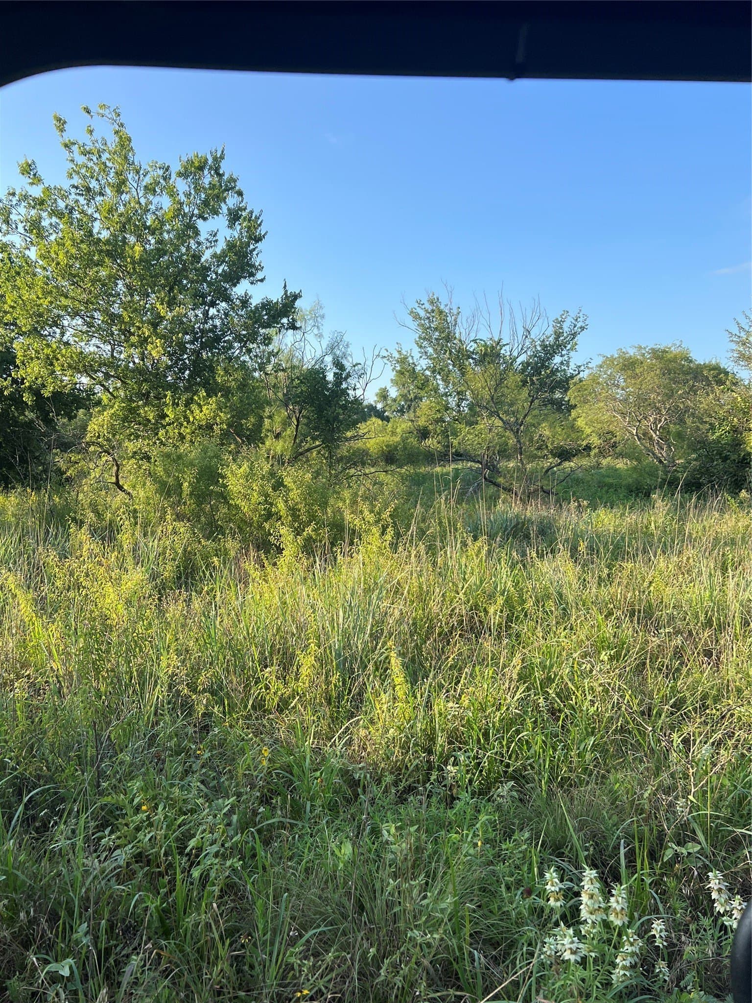 77 acres in Wise County gallery image 2