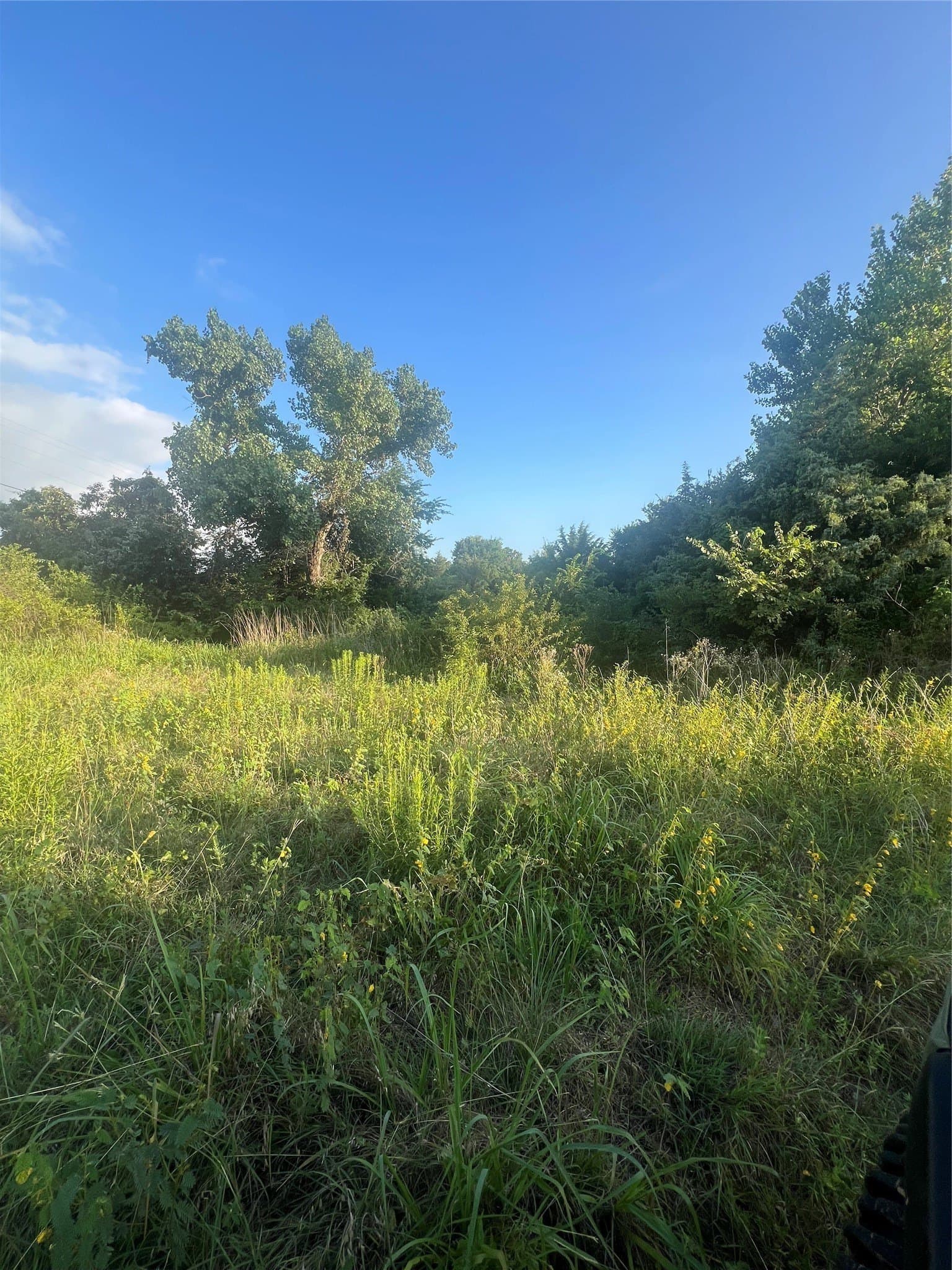 77 acres in Wise County