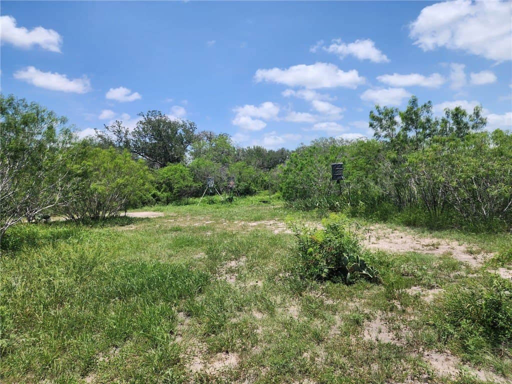 10.1 acres in Jim Wells County - photo 7