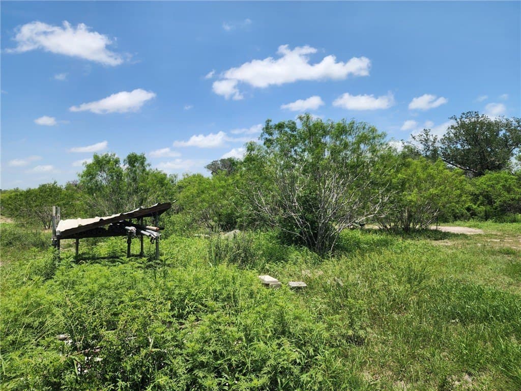 10.1 acres in Jim Wells County featured view