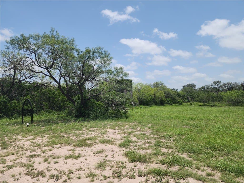 10.1 acres in Jim Wells County - photo 9