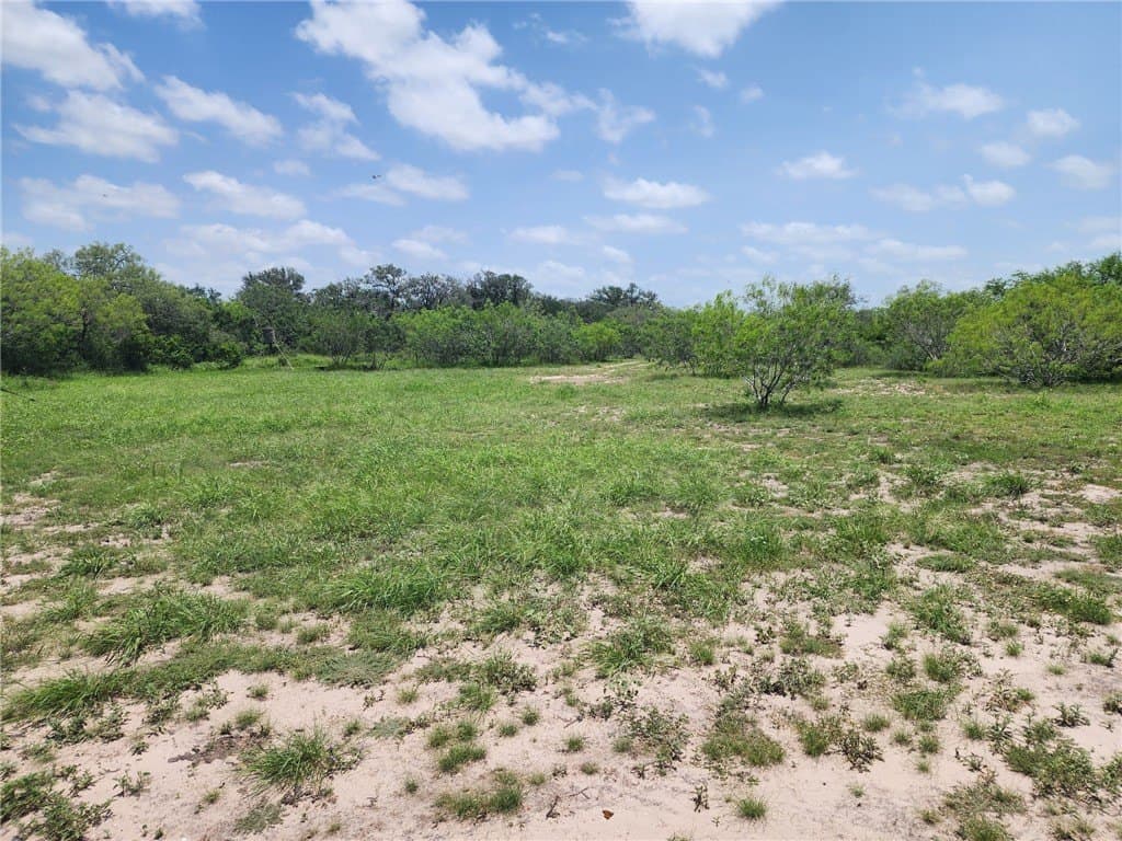 10.1 acres in Jim Wells County - photo 8