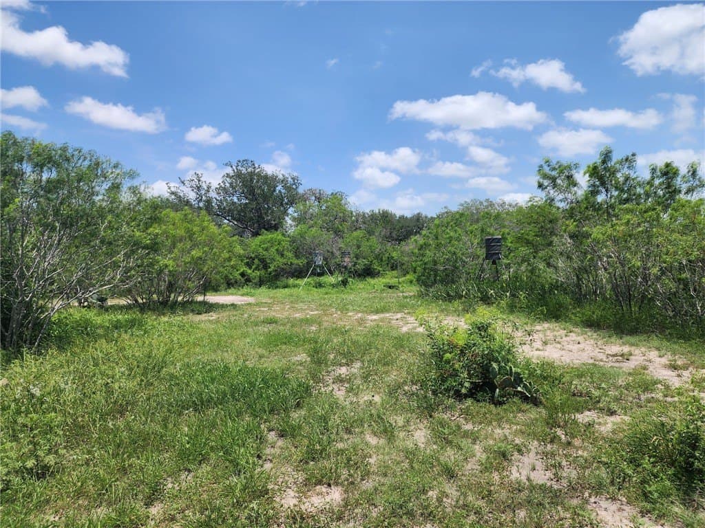 10.1 acres in Jim Wells County - photo 6
