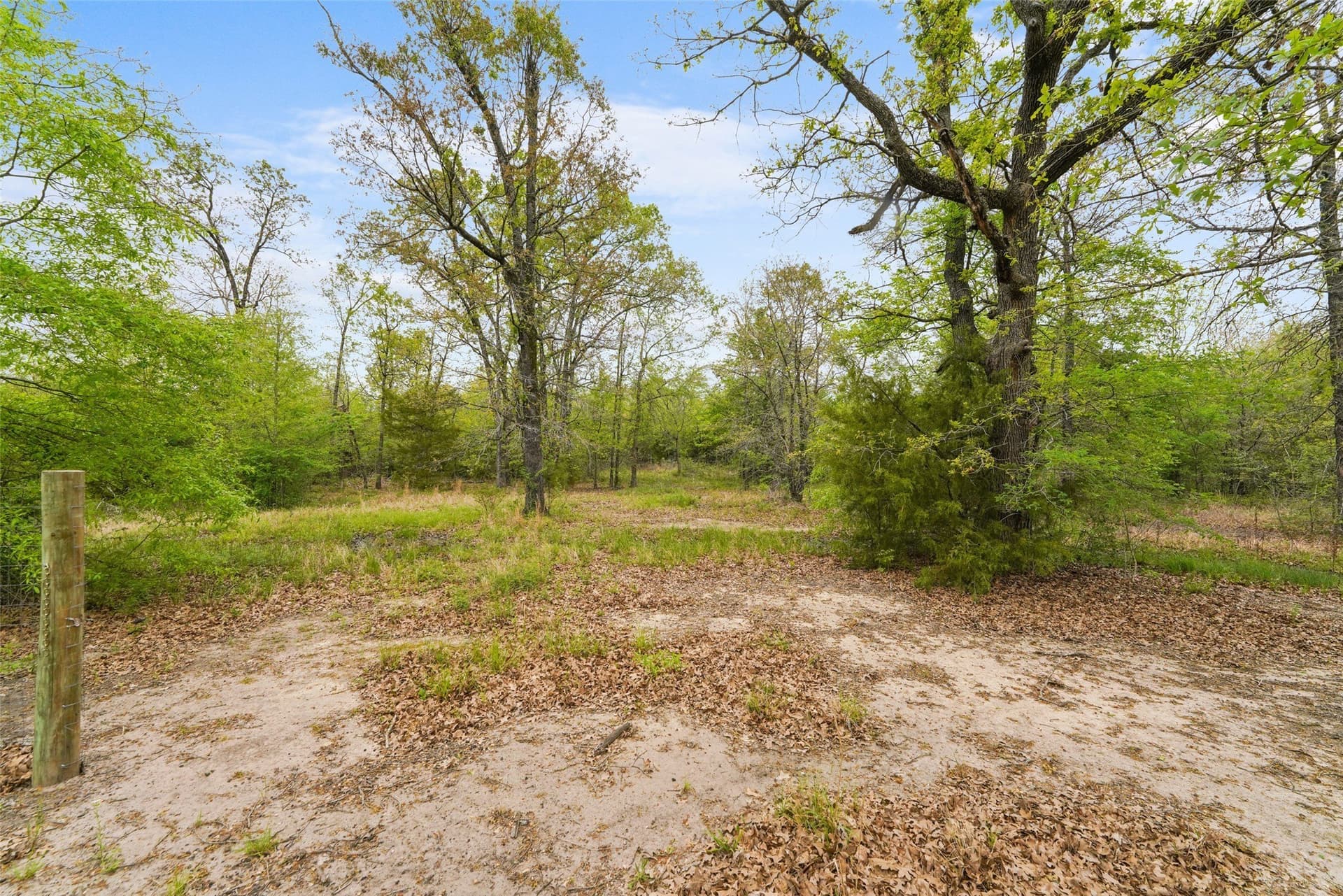 11.79 acres in Anderson County - photo 23