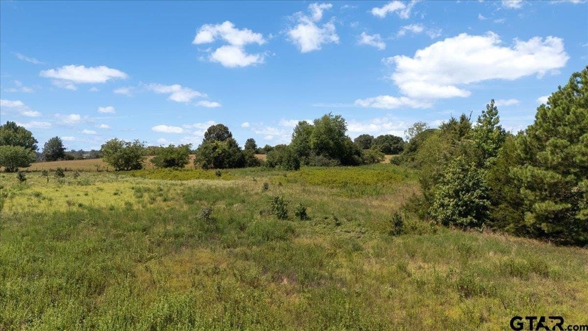 16 acres in Upshur County - photo 9