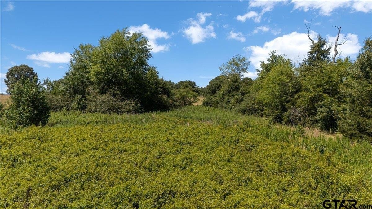 16 acres in Upshur County - photo 11