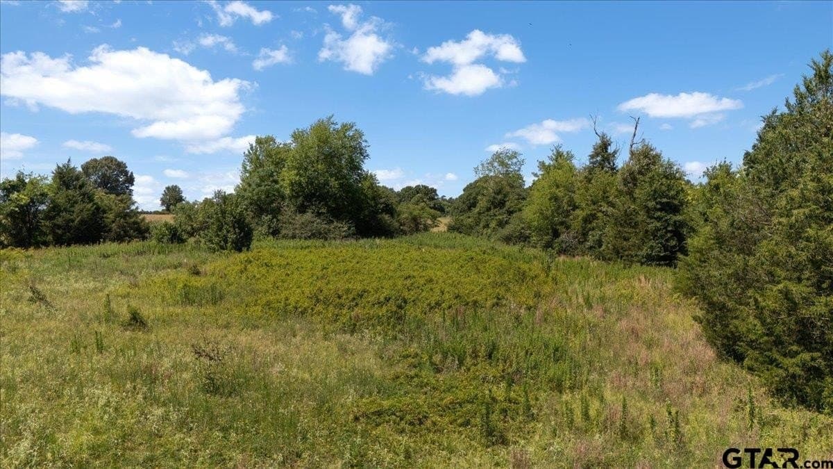 16 acres in Upshur County - photo 12