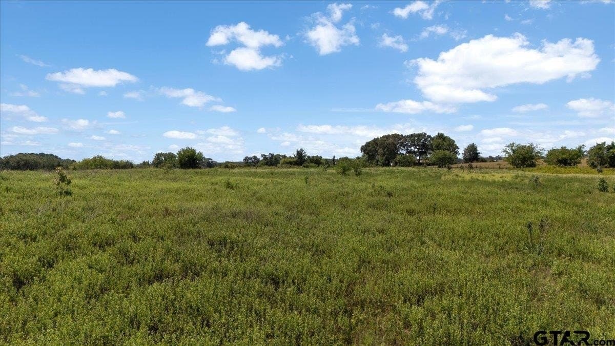 16 acres in Upshur County - photo 8