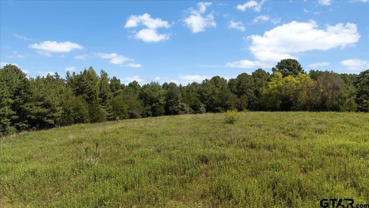 16 acres in Upshur County - photo 10