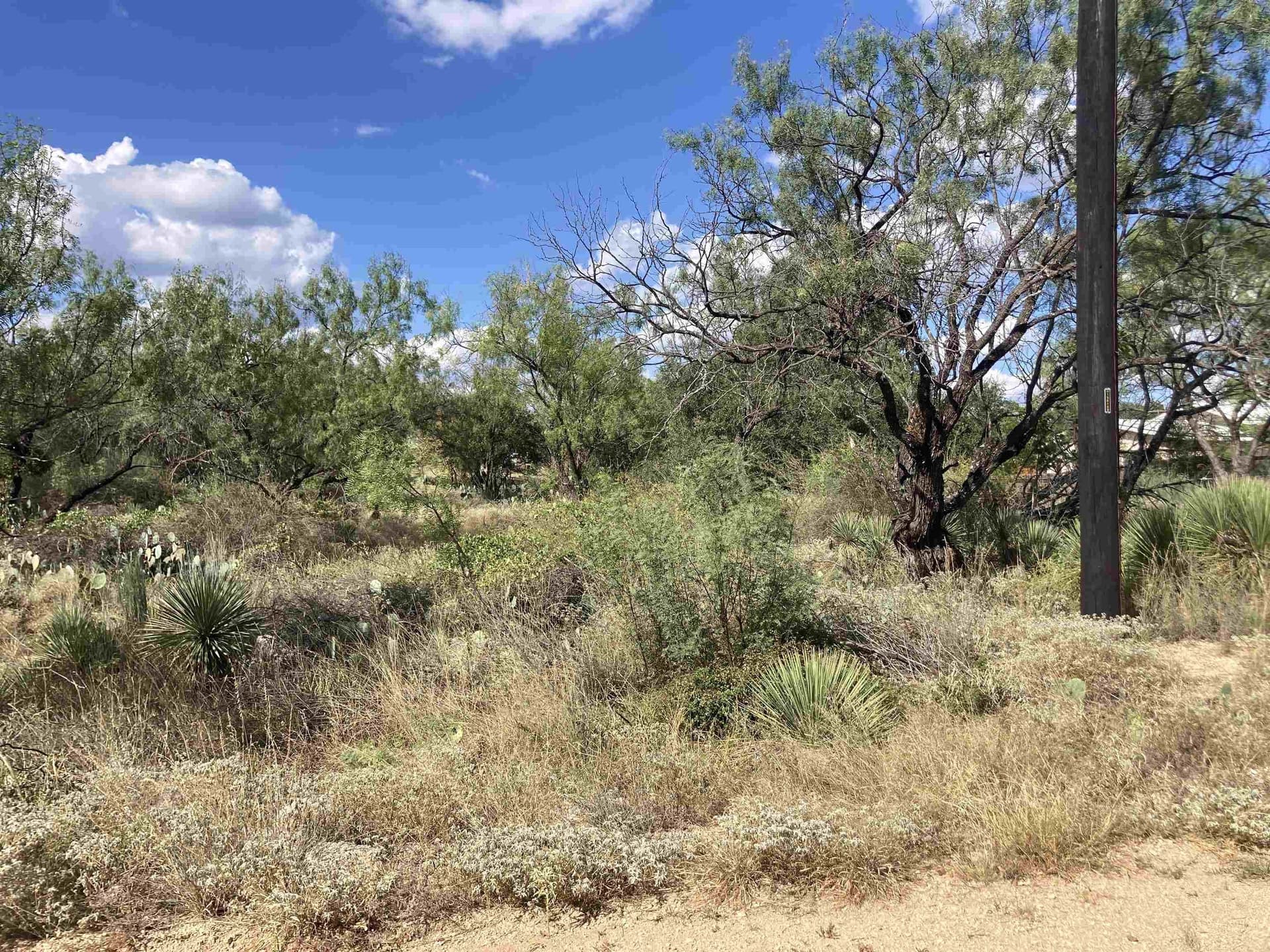 0.22 acres in Burnet County gallery image 2