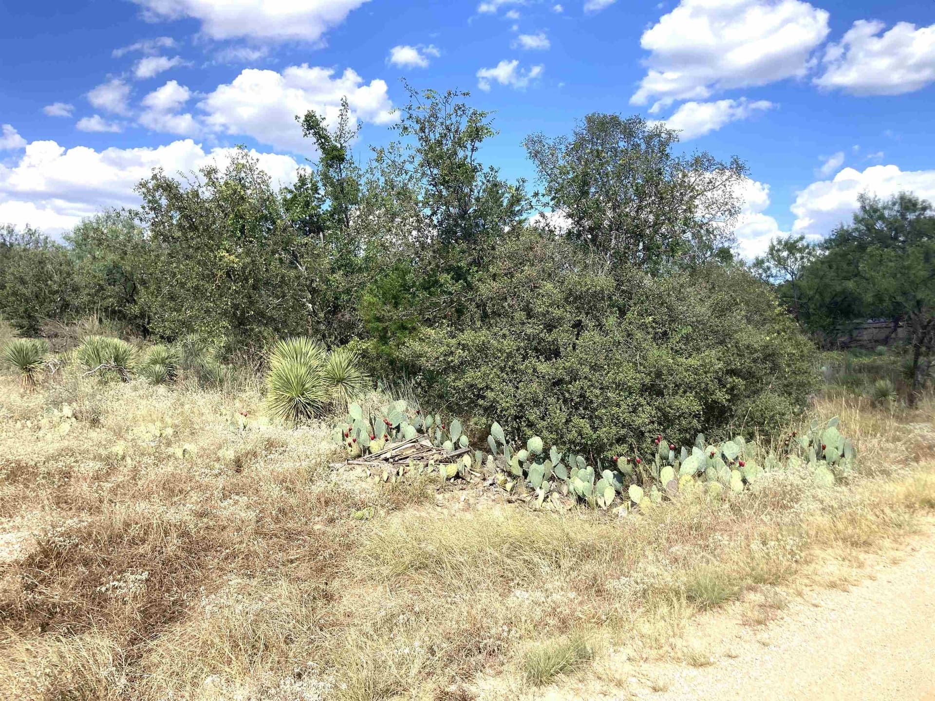 0.22 acres in Burnet County gallery image 4