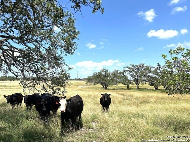 11.01 acres in Gillespie County gallery image 2