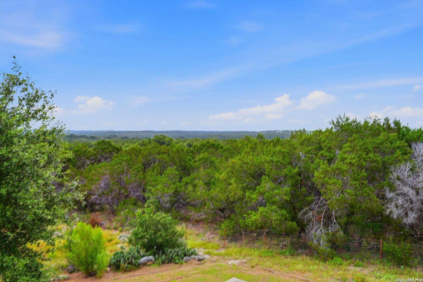10.96 acres in Blanco County - photo 41