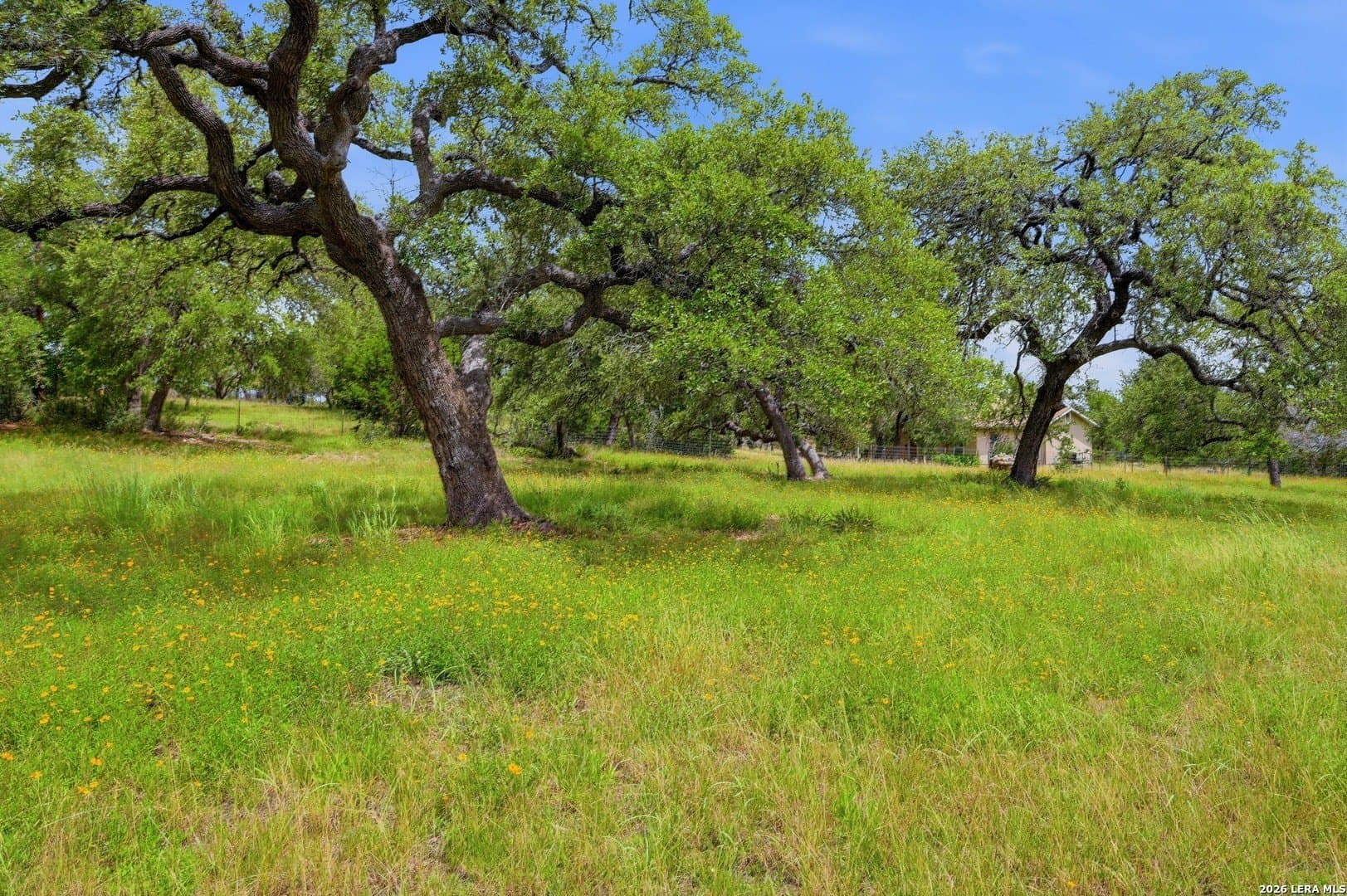 10.96 acres in Blanco County featured view