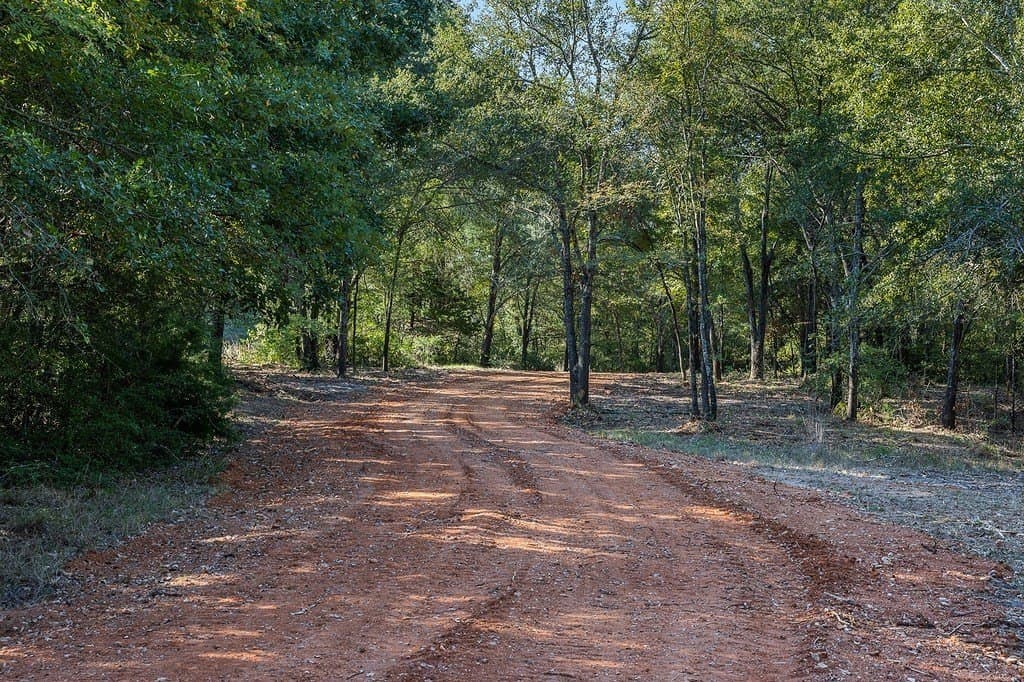 325 acres in Limestone County featured view
