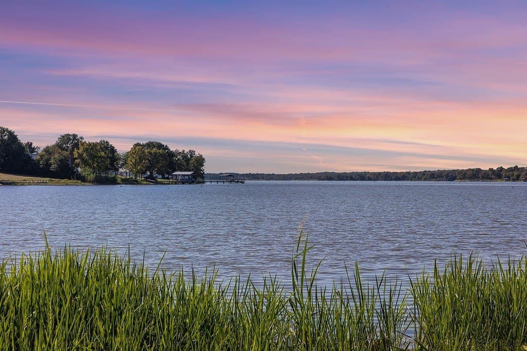 325 acres in Limestone County gallery image 2