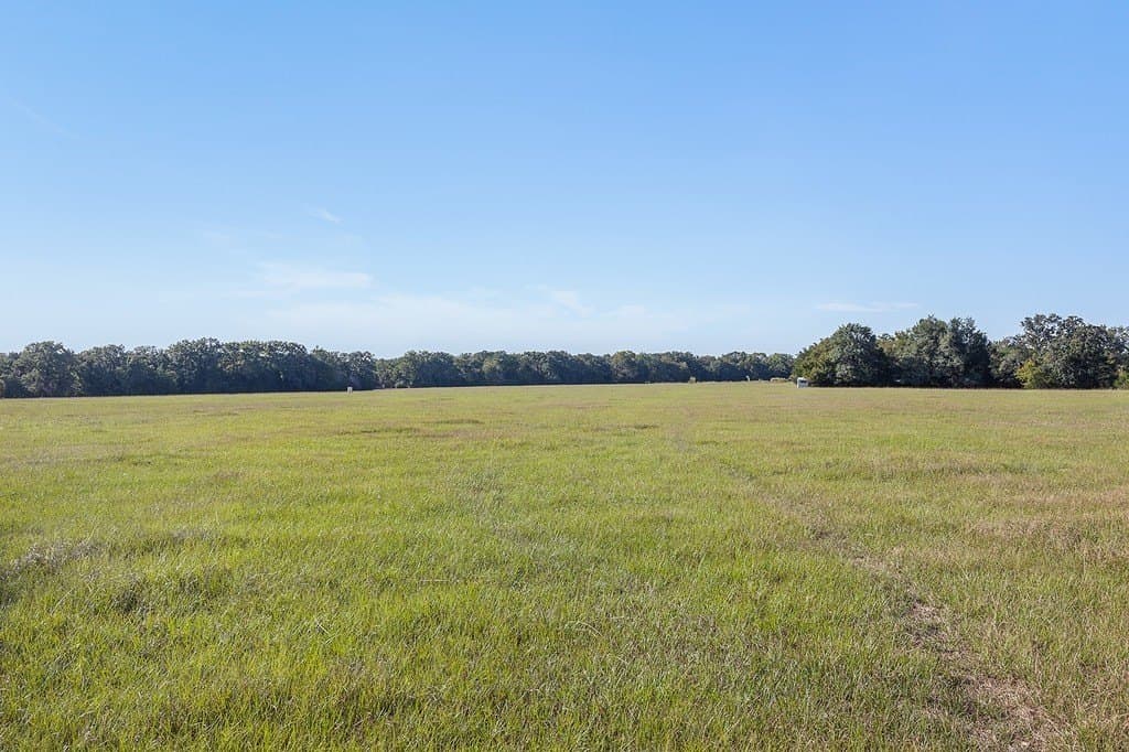 325 acres in Limestone County gallery image 4
