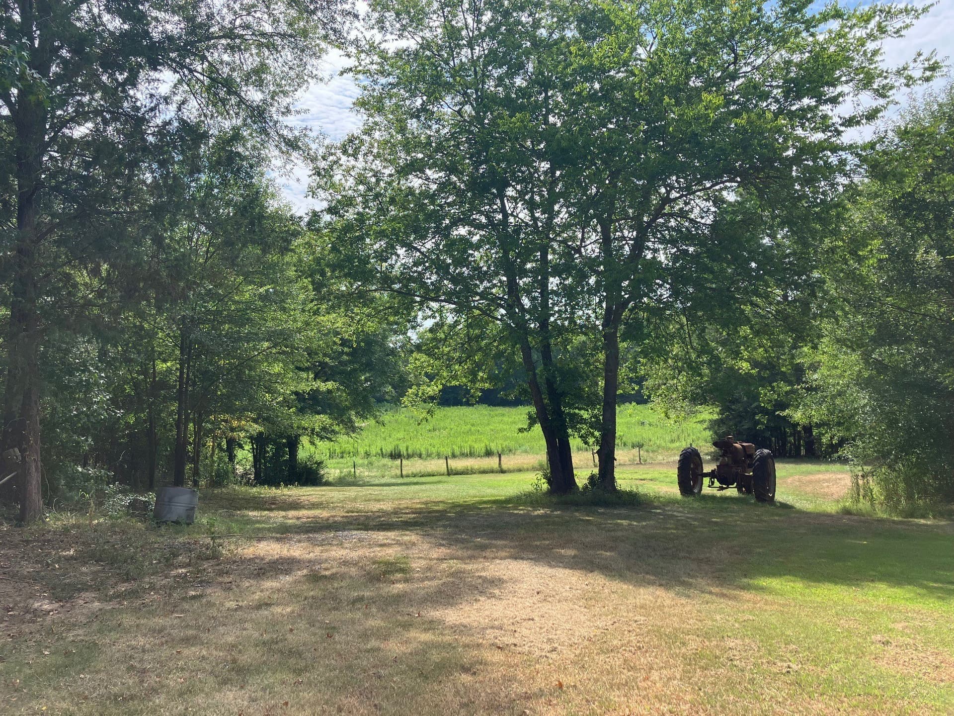 15.69 acres in Titus County featured view