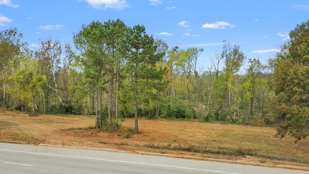 20.69 acres in ANDERSON County gallery image 3