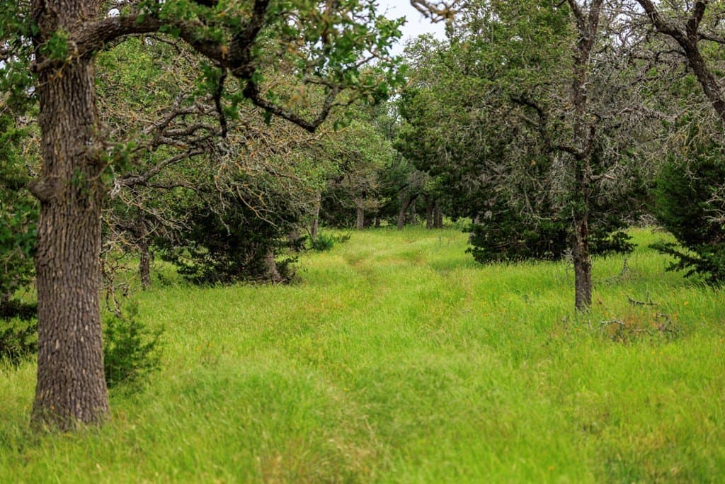 101.63 acres in Kerr County gallery image 3