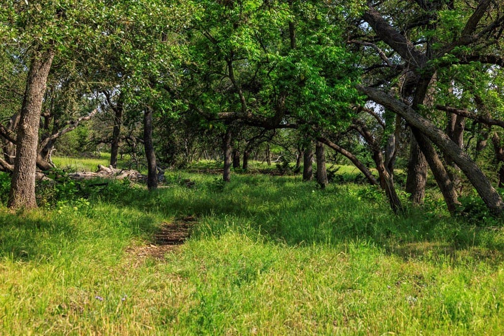 101.63 acres in Kerr County gallery image 2