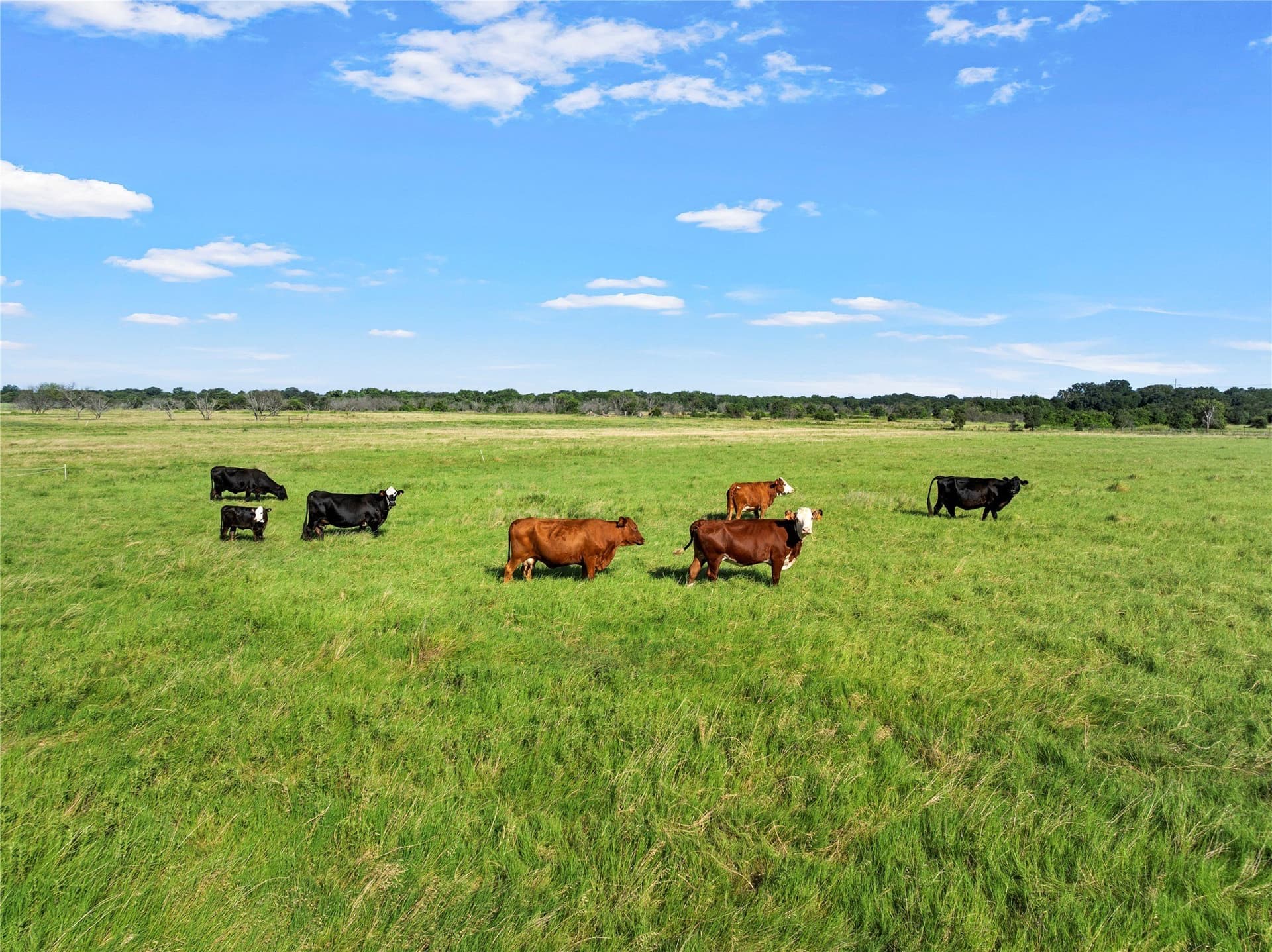 42.81 acres in Hill County - photo 34