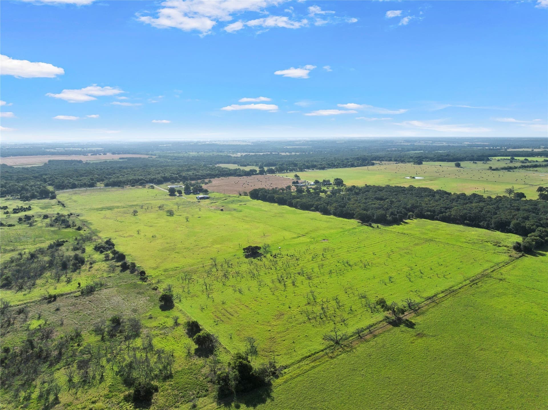 42.81 acres in Hill County - photo 36