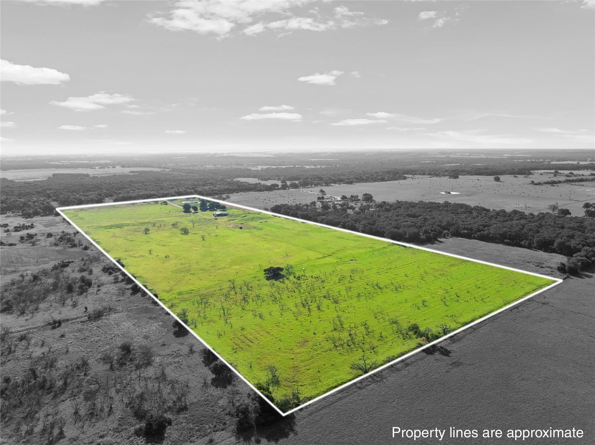 42.81 acres in Hill County - photo 37