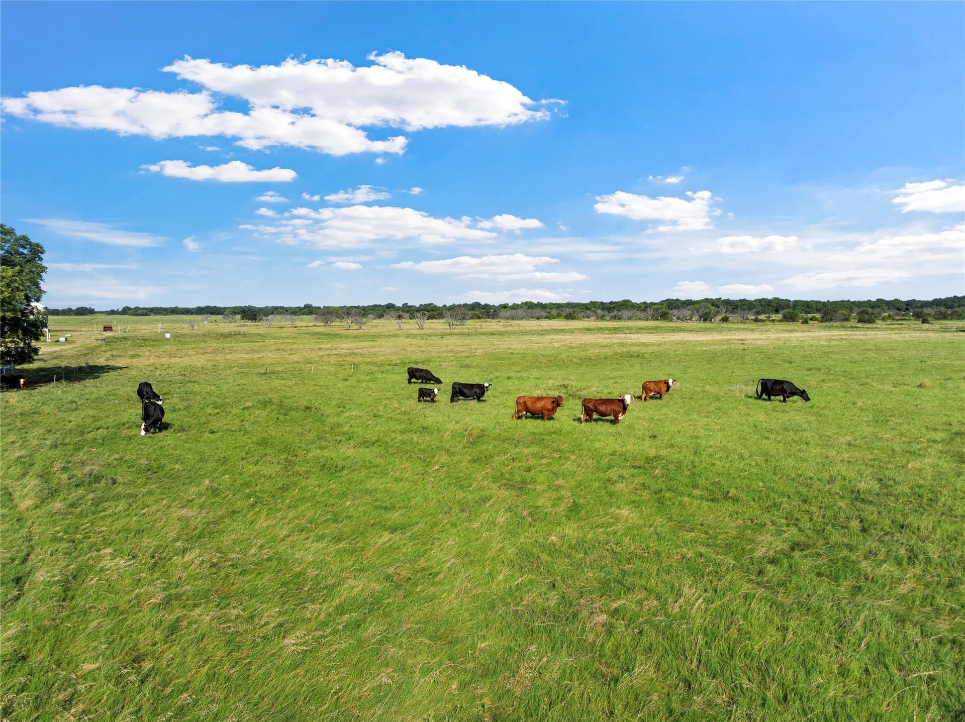 42.81 acres in Hill County - photo 33
