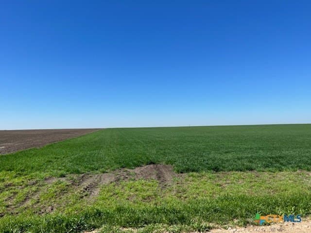 11.66 acres in Falls County gallery image 3