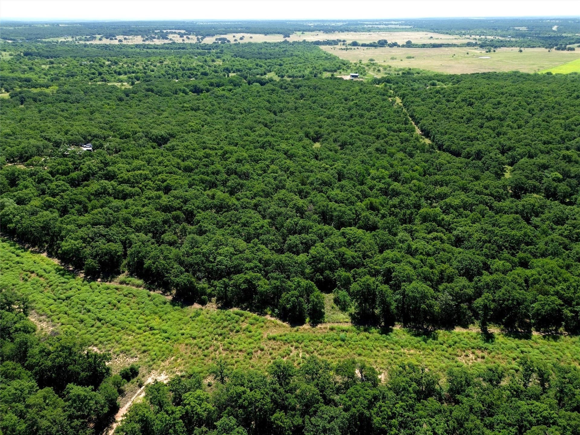 99.18 acres in Jack County - photo 7