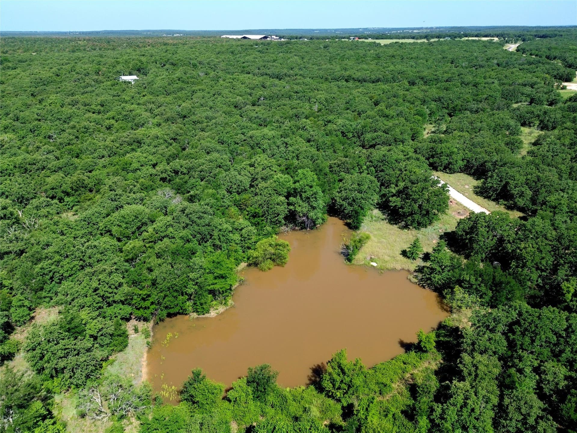 99.18 acres in Jack County gallery image 2