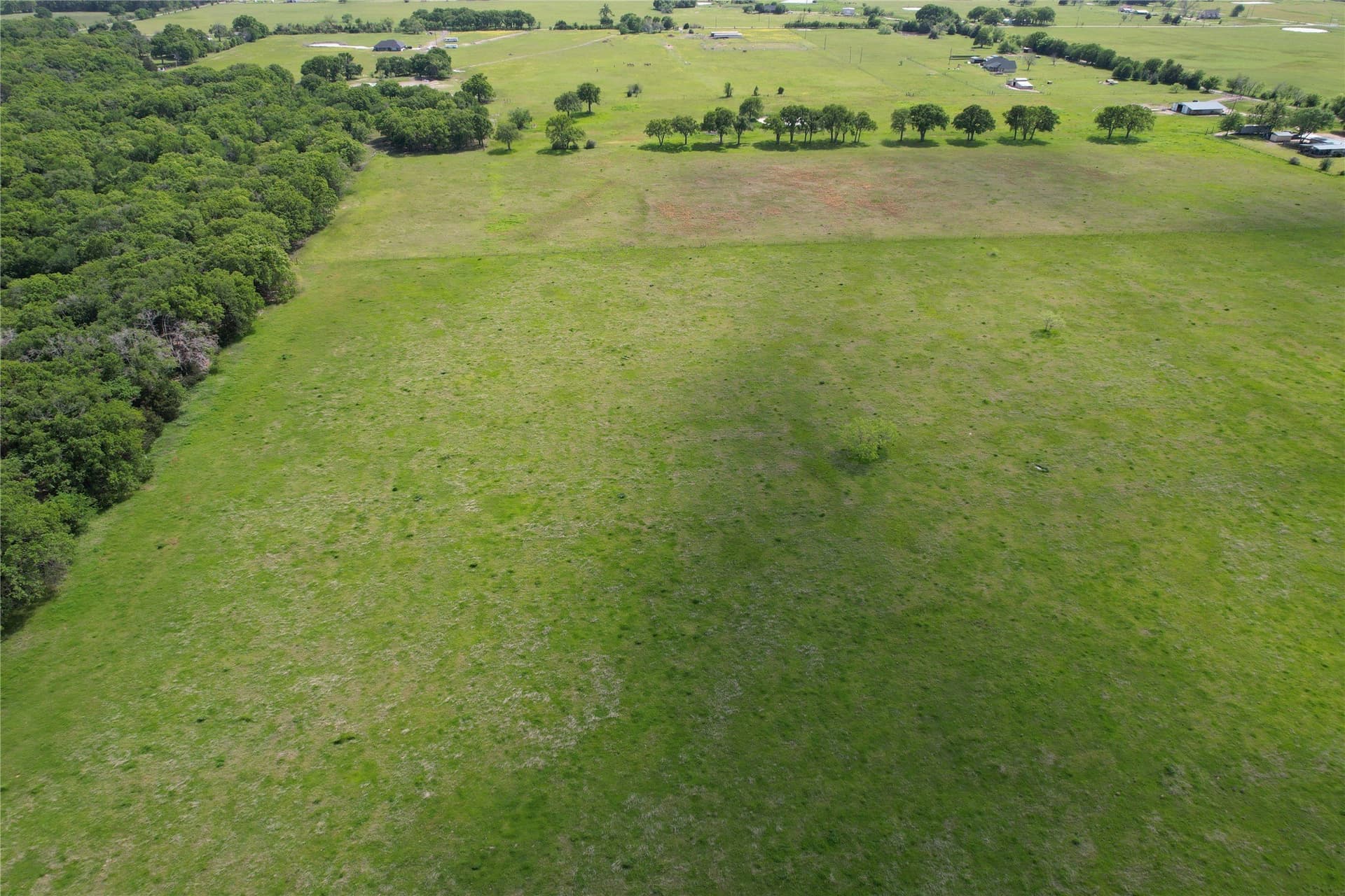 9 acres in Henderson County - photo 13