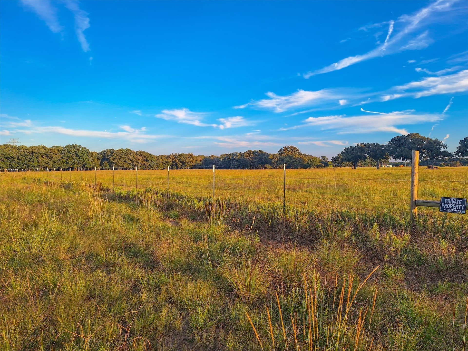 9 acres in Henderson County - photo 23