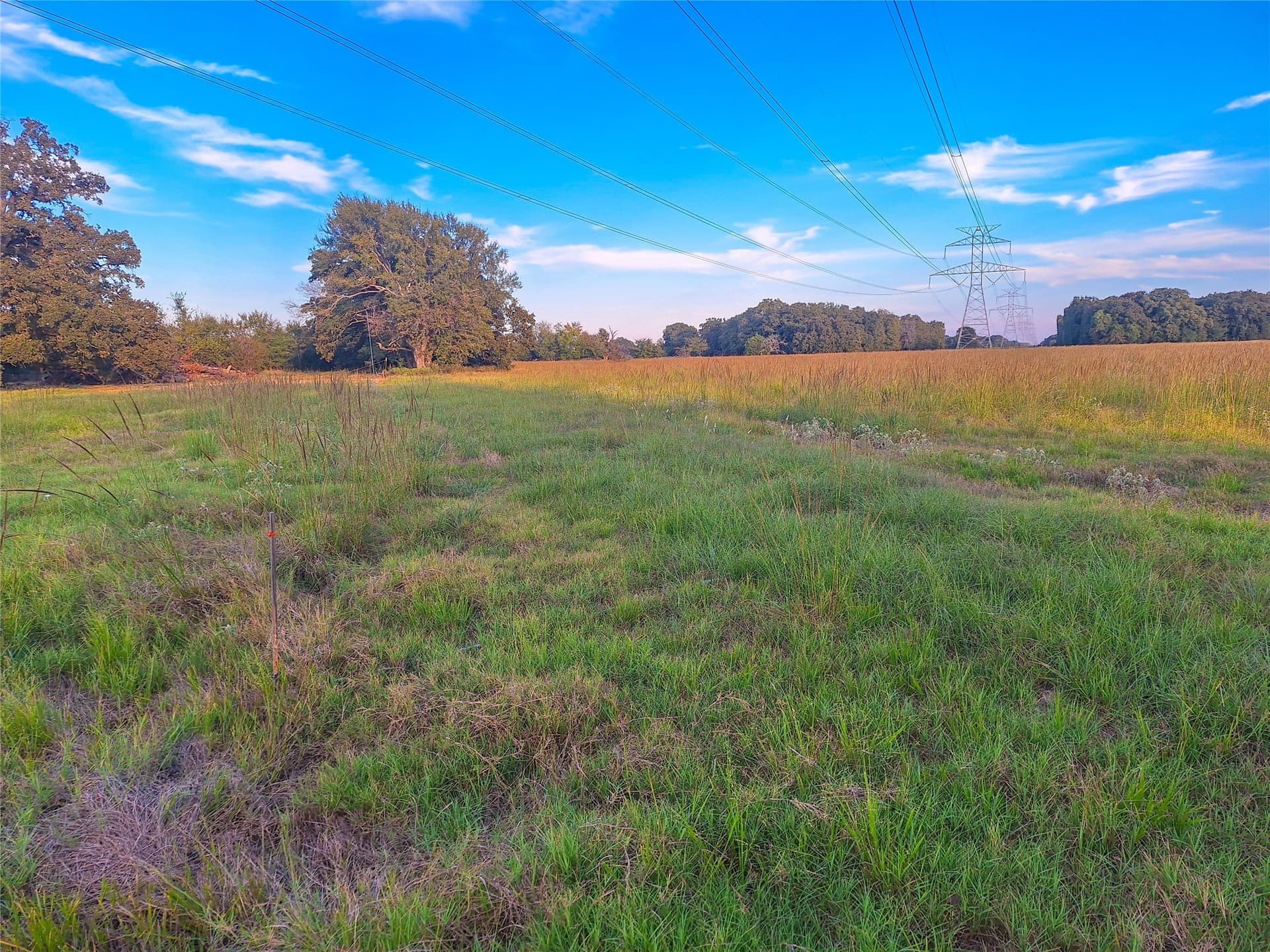 9 acres in Henderson County - photo 22