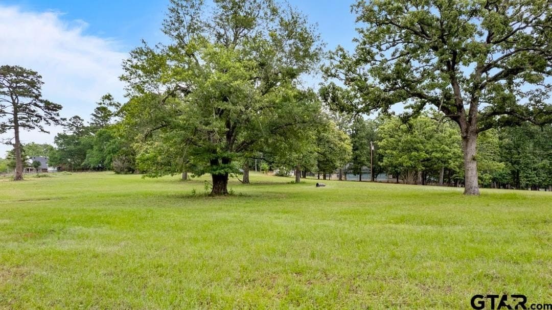 3.37 acres in Smith County - photo 5