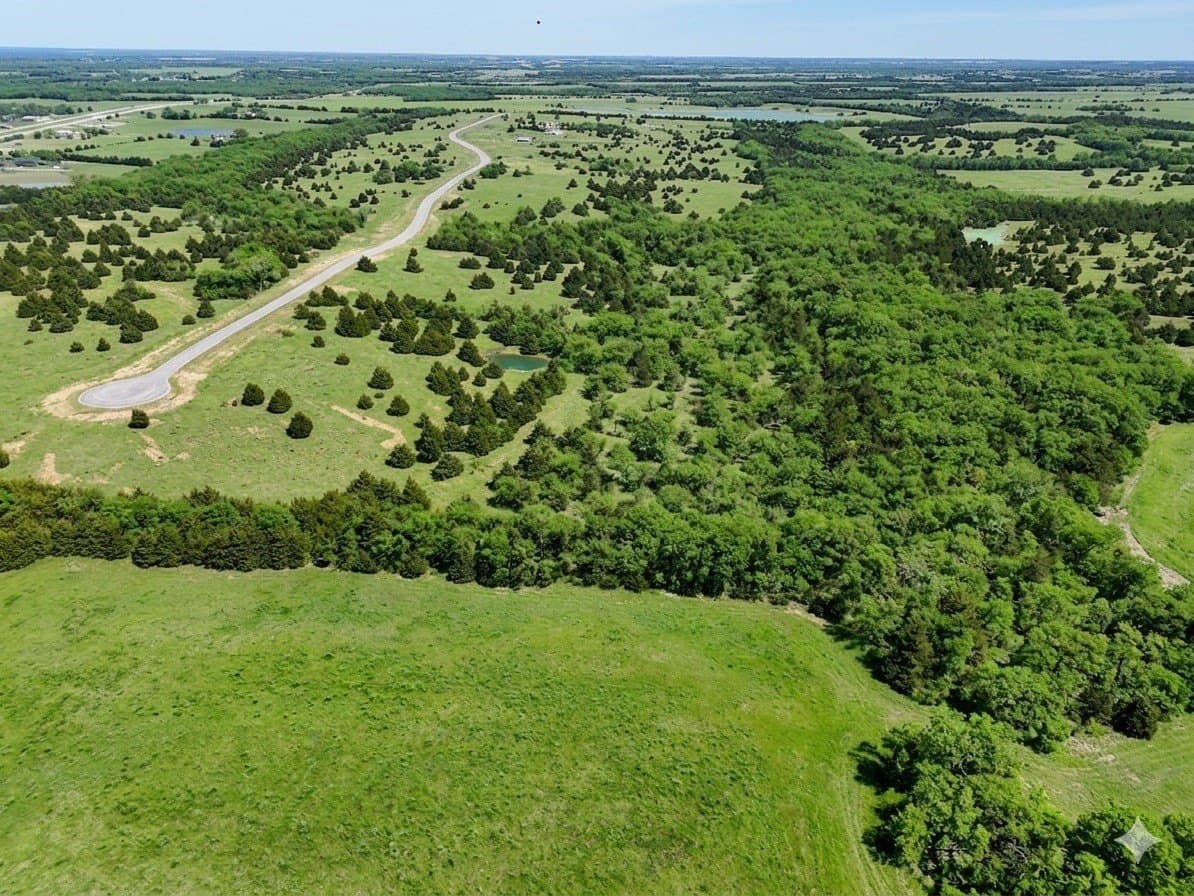 11.02 acres in Fannin County gallery image 3