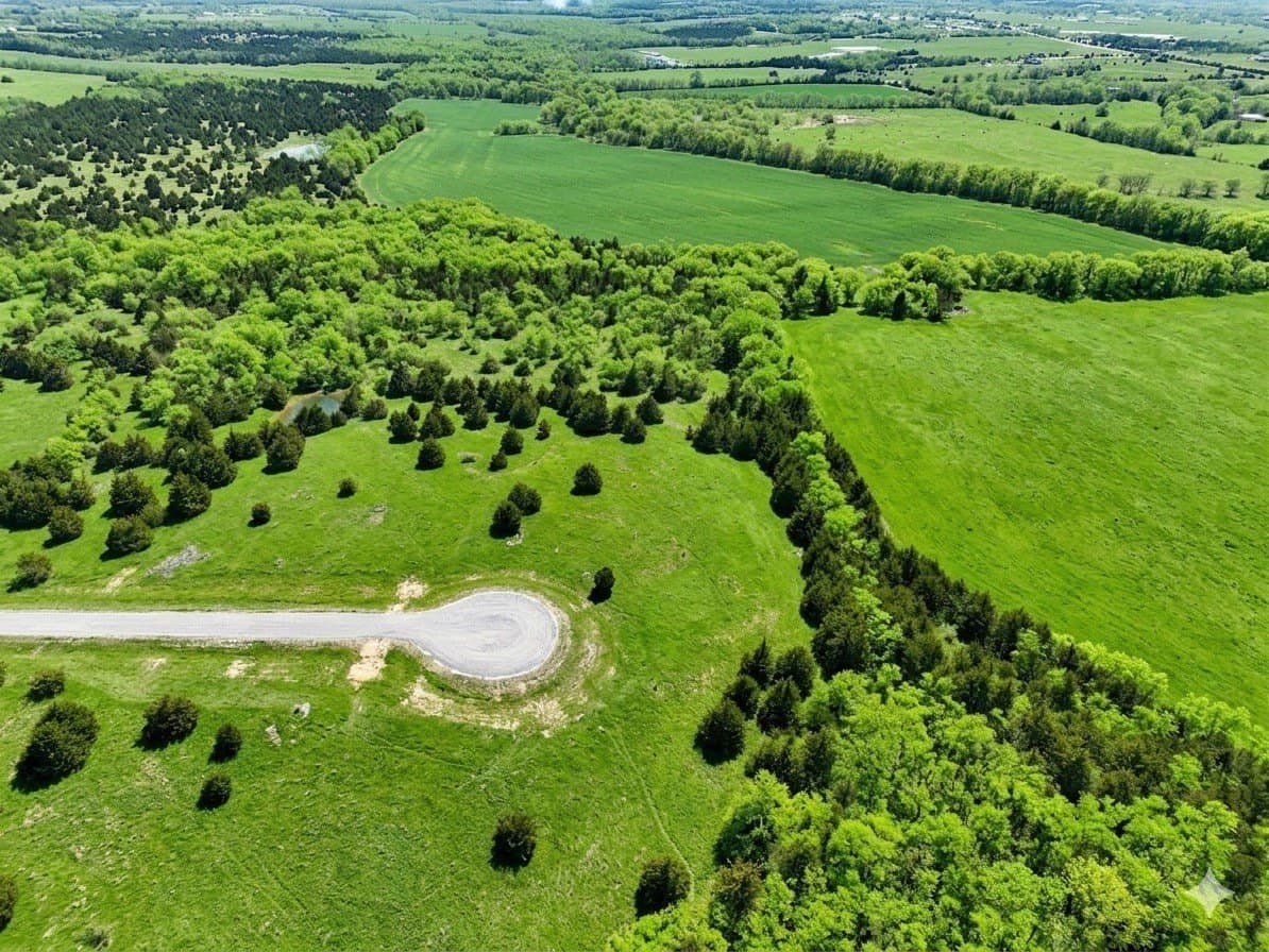 11.02 acres in Fannin County gallery image 2