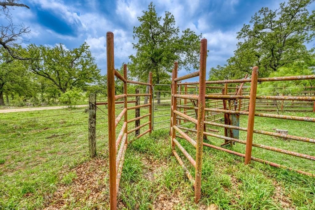 59 acres in Gillespie County - photo 23