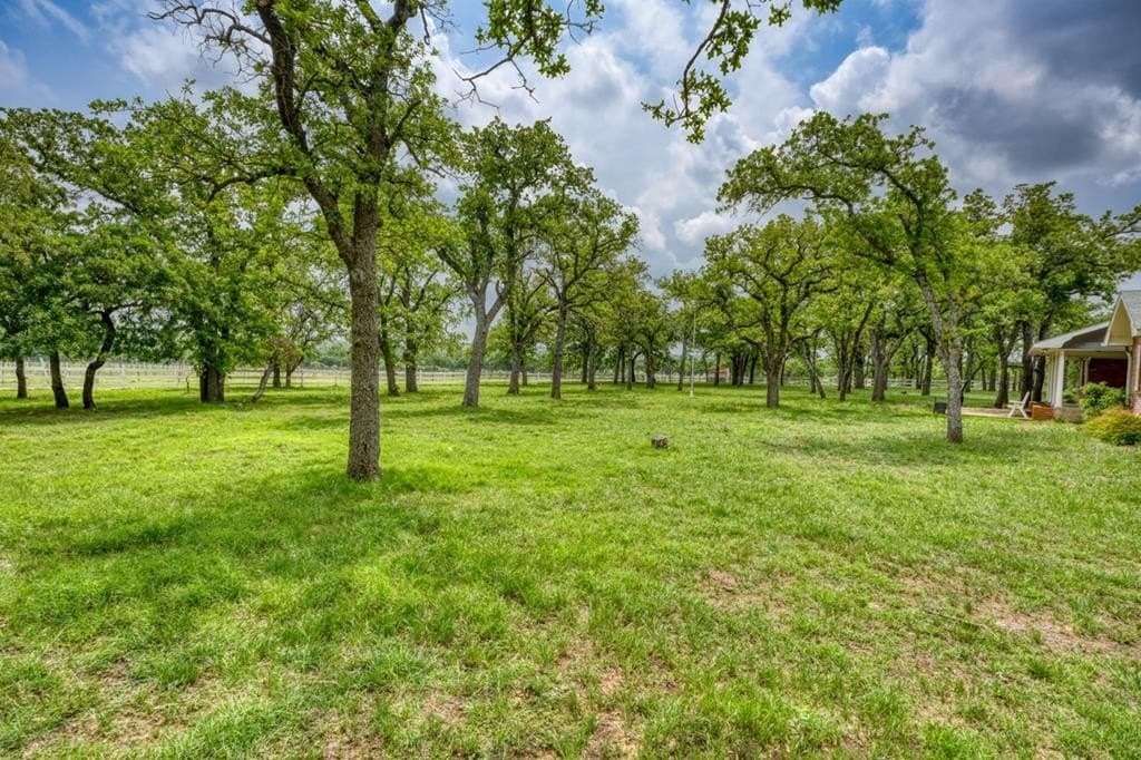 59 acres in Gillespie County - photo 17