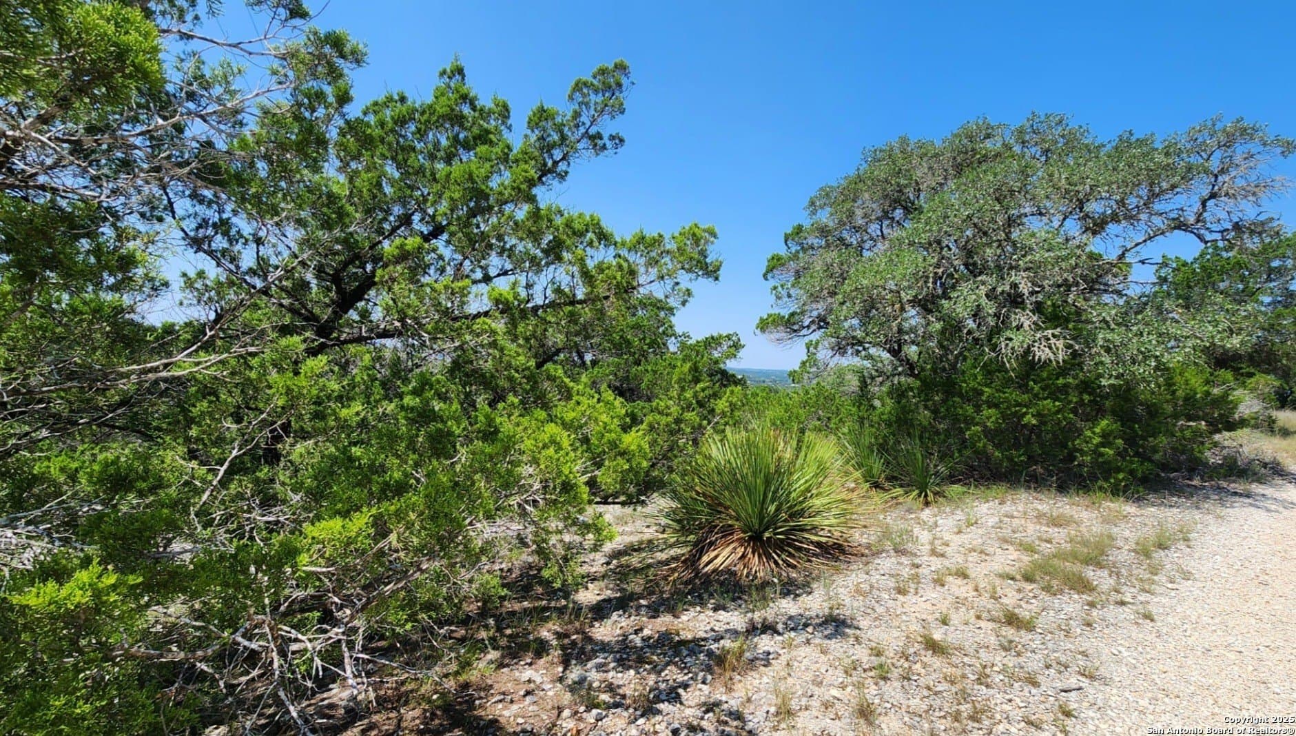 1.18 acres in Comal County featured view