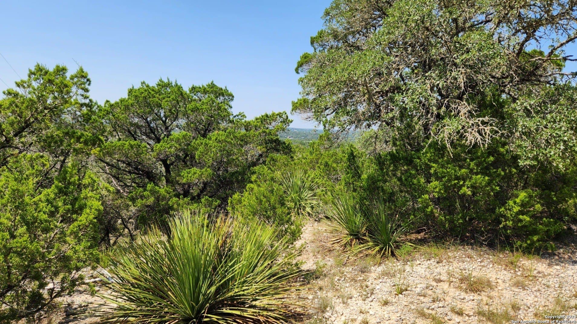 1.18 acres in Comal County - photo 8