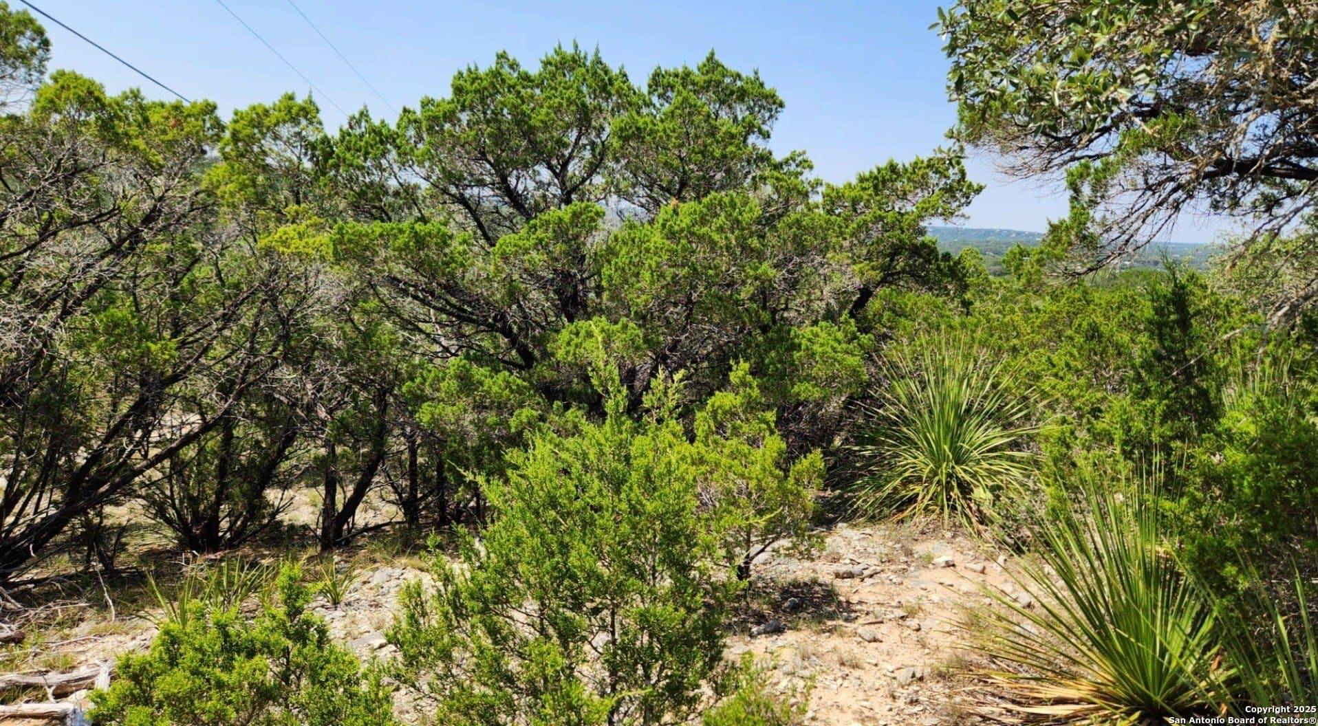 1.18 acres in Comal County - photo 10