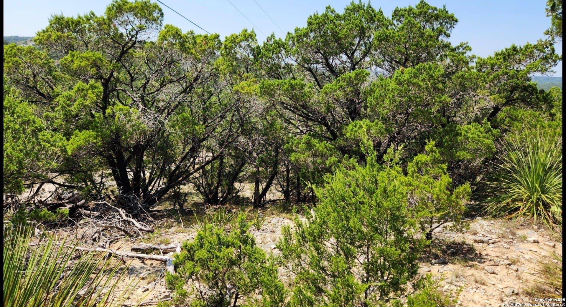 1.18 acres in Comal County - photo 9