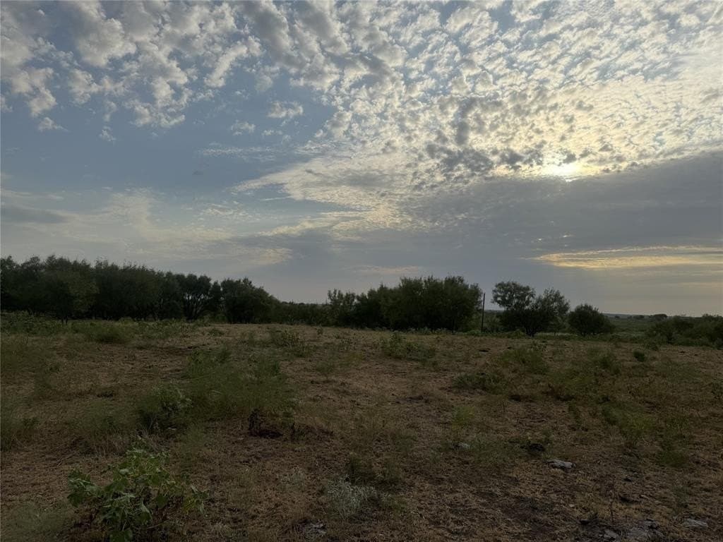 10.05 acres in Wise County gallery image 4